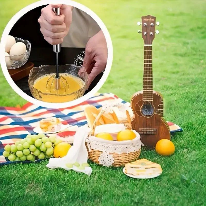 Steel Hand Press Blender/Whisk